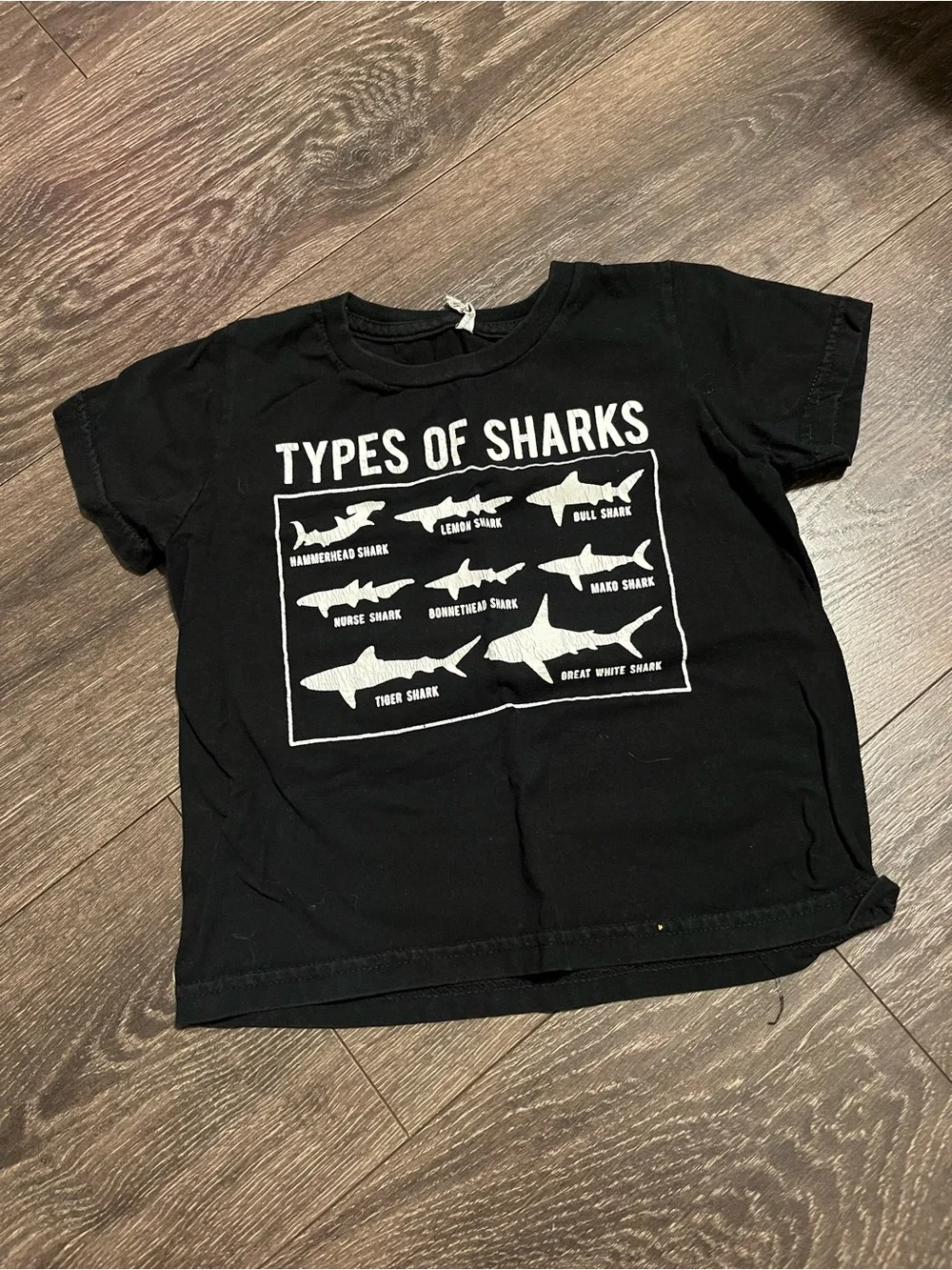 OshKosh Bgosh 13 shirts